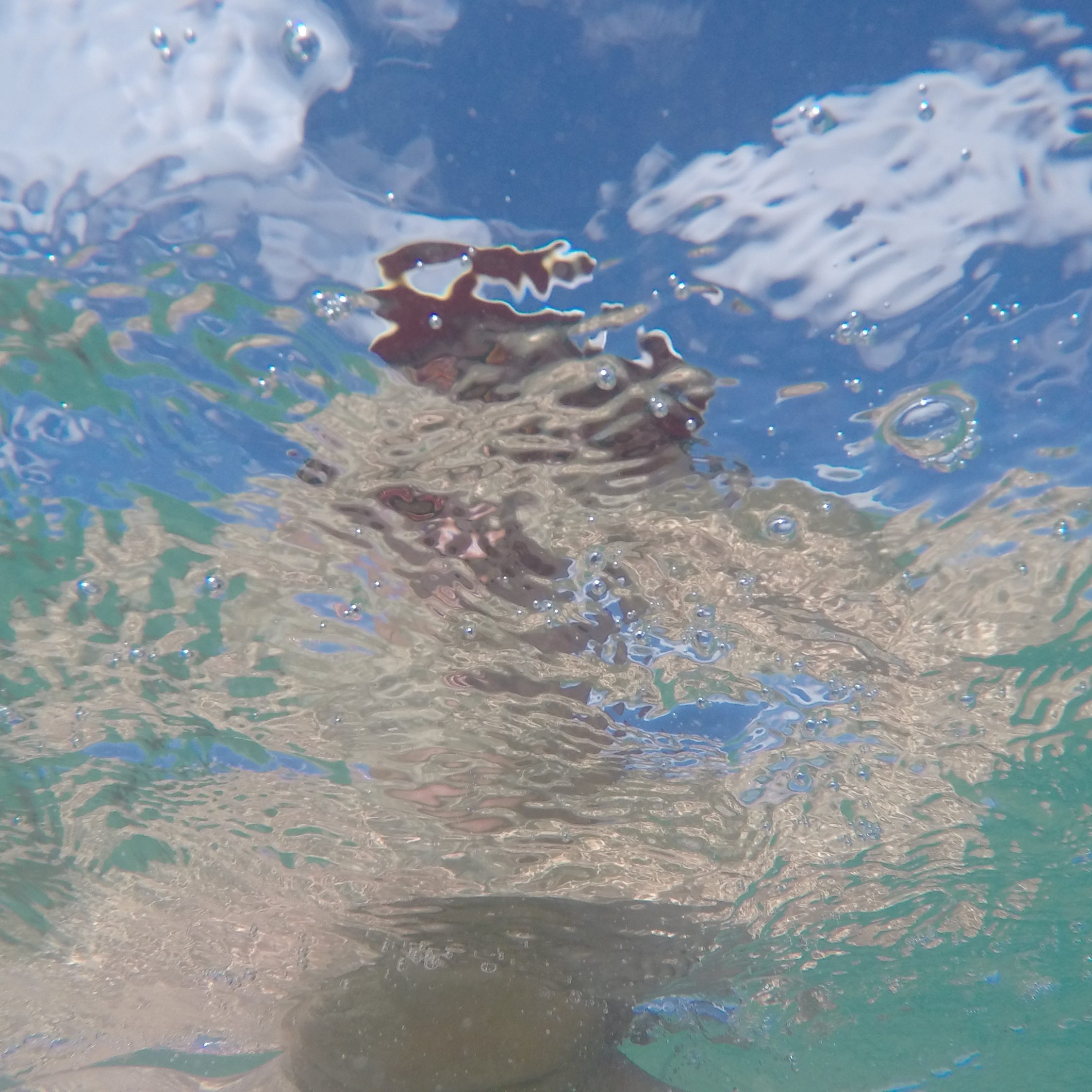 DCIM100GOPROGOPR0938.